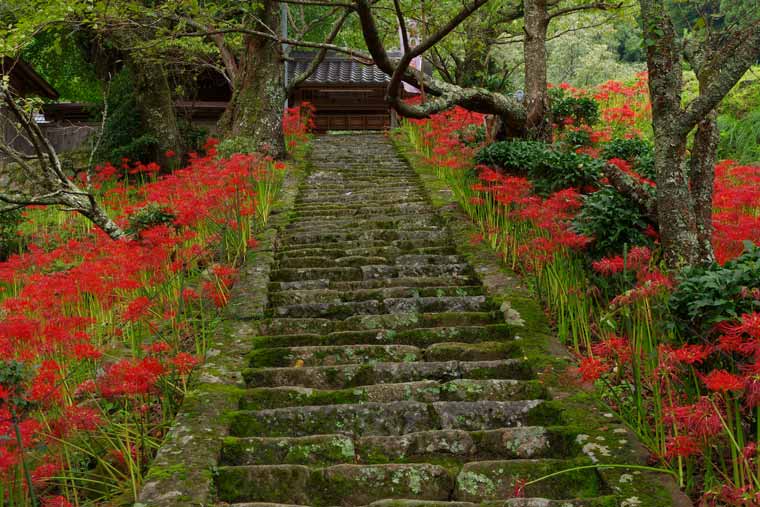 仏隆寺(佛隆寺)
