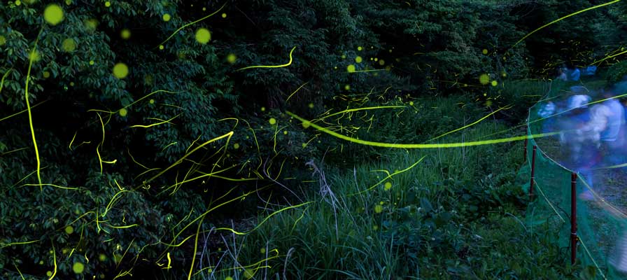 鈴鹿ほたるの里