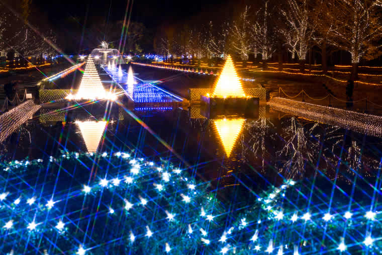 国営昭和記念公園 Winter Vista Illumination 2017
