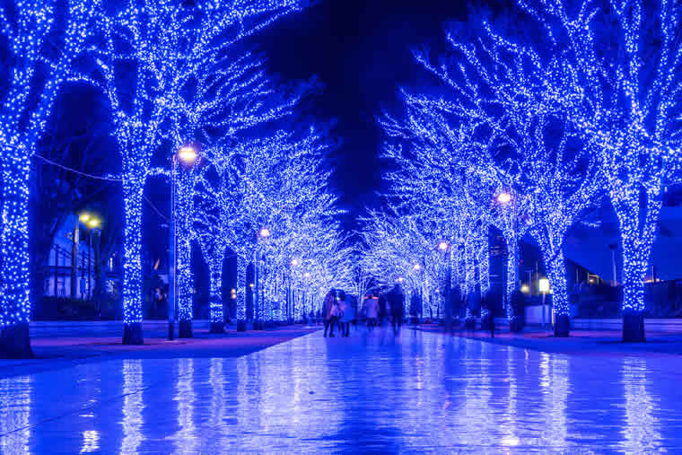 青の洞窟 SHIBUYA