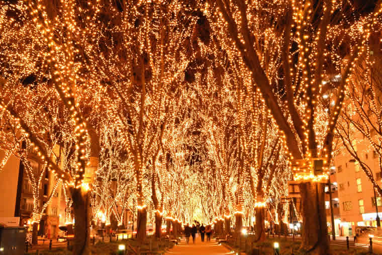 2017SENDAI光のページェント