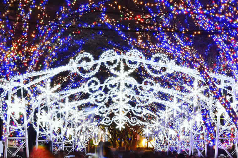 大阪光の饗宴2017（御堂筋イルミネーション2017・OSAKA光のルネサンス2017）