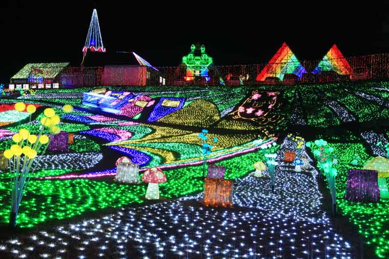 東京ドイツ村 Winter Illumination