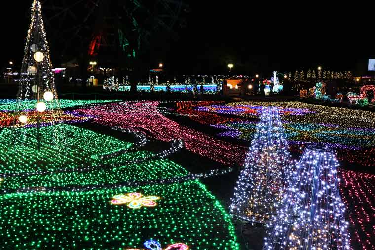 東武動物公園 「ウインターイルミネーション」