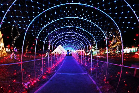 榛名湖イルミネーションフェスタ