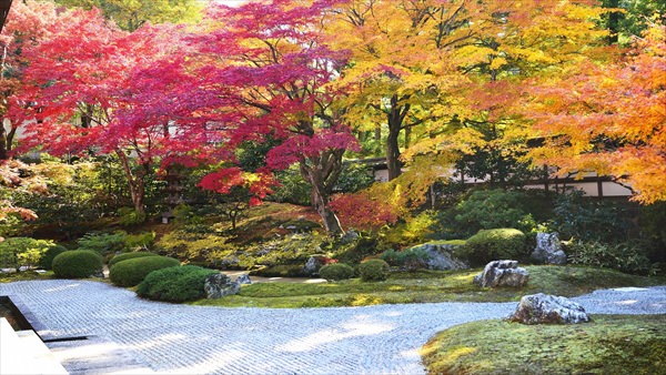 泉涌寺　御座所庭園前庭