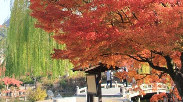 円山公園・知恩院