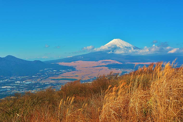 芦ノ湖スカイライン
