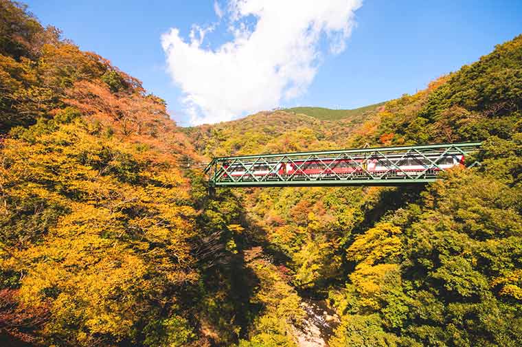 早川橋梁(出山の鉄橋)