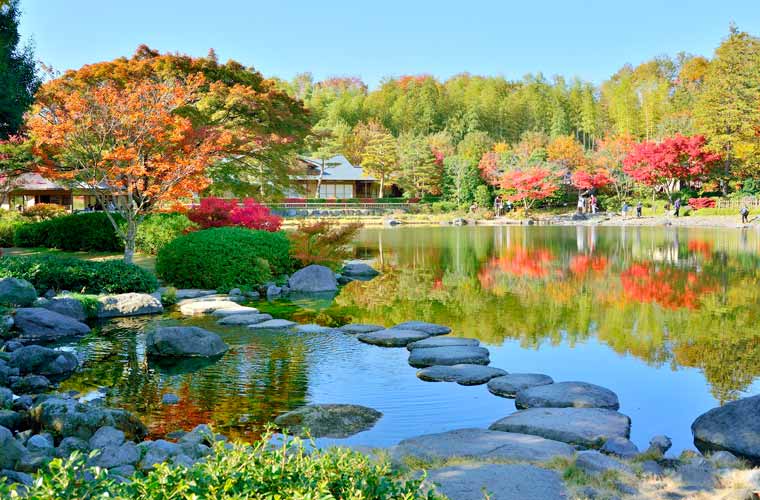 国営昭和記念公園