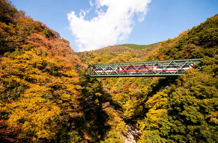 早川橋梁(出山の鉄橋)