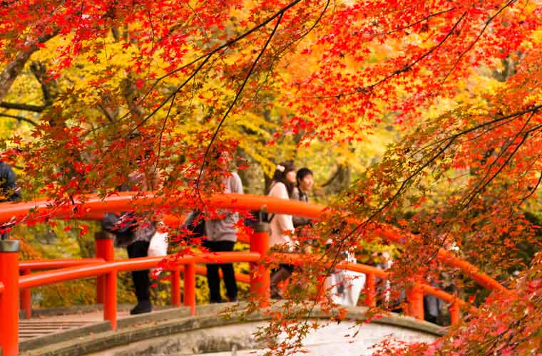 河鹿橋（伊香保温泉）