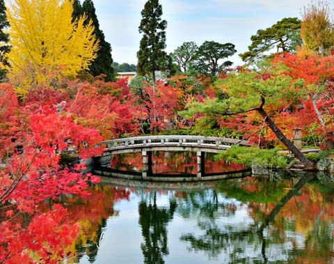 永観堂 （禅林寺）