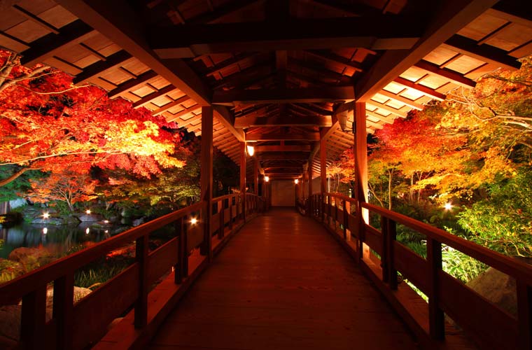 姫路城西御屋敷跡庭園 好古園