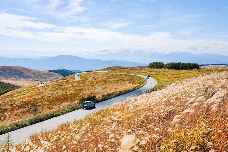 ビーナスライン