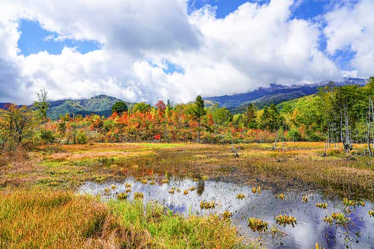 乗鞍高原一の瀬園地