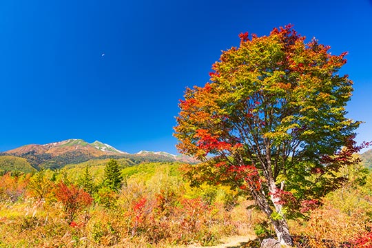 乗鞍高原一の瀬園地