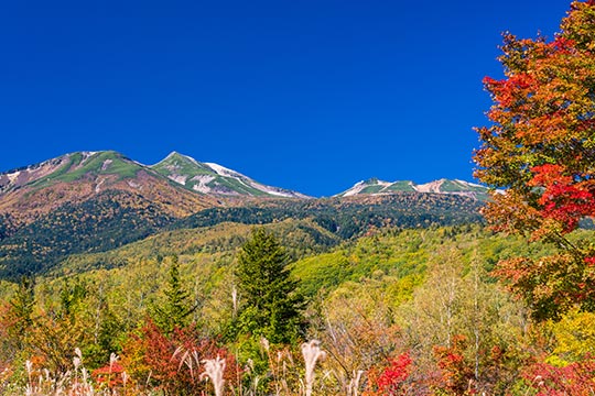 乗鞍高原一の瀬園地
