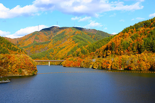 もみじ湖(箕輪ダム)