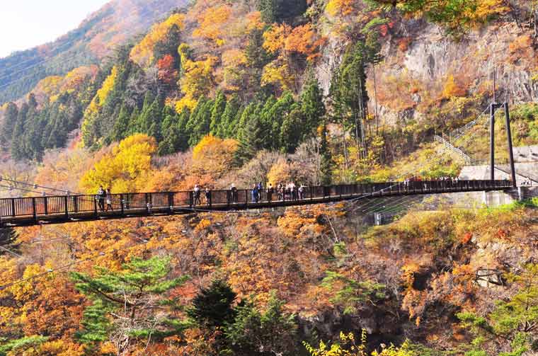 鬼怒楯岩大吊橋