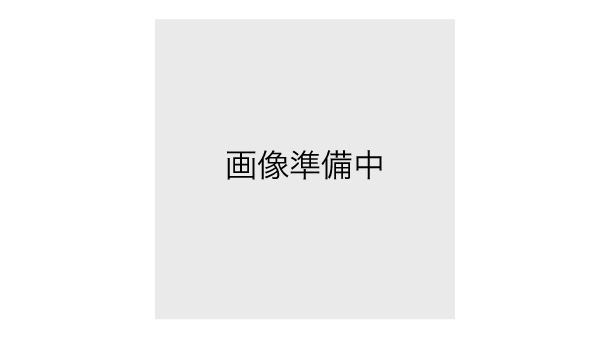 塩小路大橋西詰め