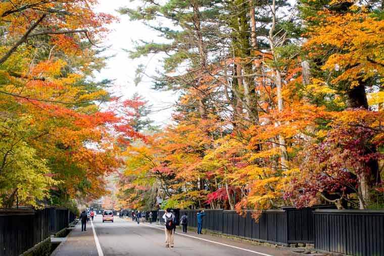 角館 武家屋敷通り