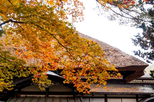 角館 武家屋敷通り