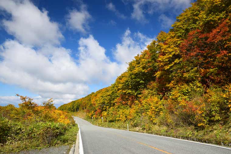 蔵王エコーライン