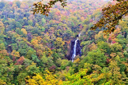蔵王エコーライン