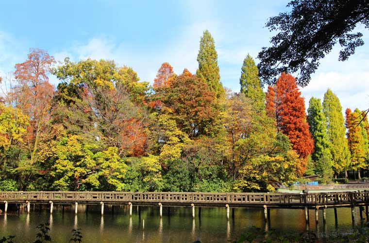 井の頭恩賜公園
