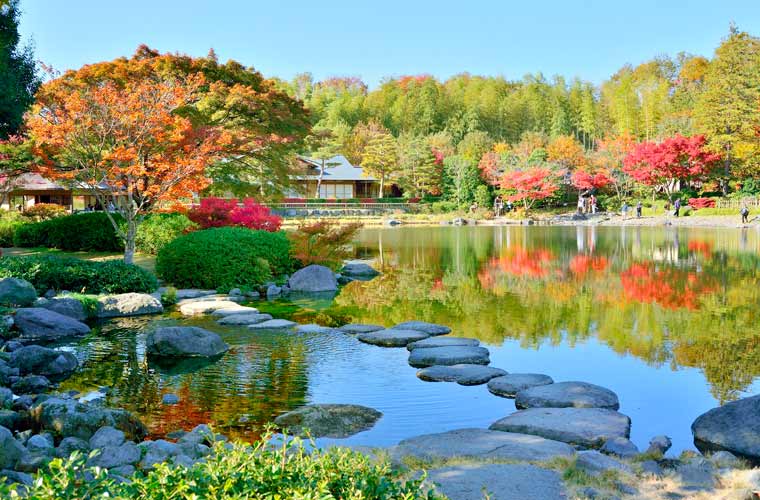 国営昭和記念公園