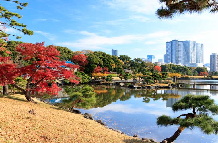 浜離宮恩賜庭園