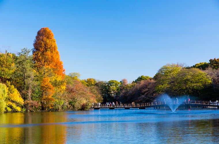 井の頭恩賜公園