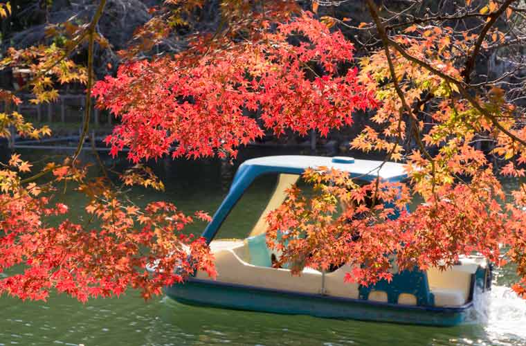 井の頭恩賜公園