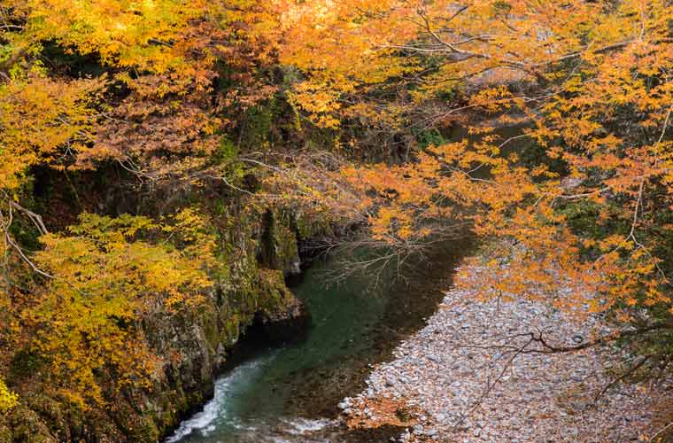 秋川渓谷