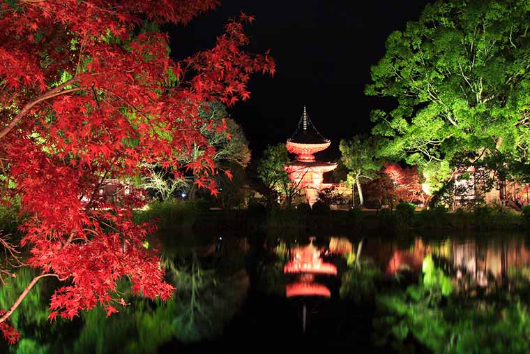 旧嵯峨御所 大本山大覚寺