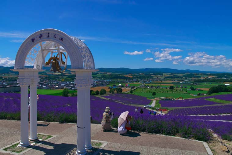 日の出ラベンダー園