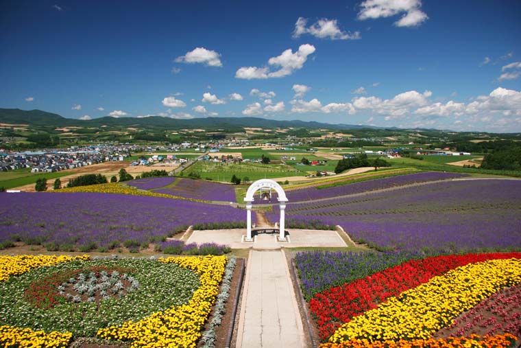 日の出ラベンダー園