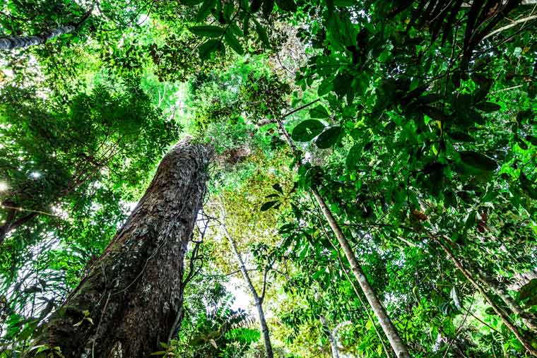 チジュカ国立公園