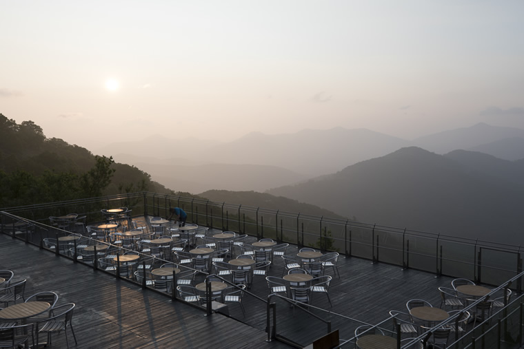 柴犬まるの北海道の旅