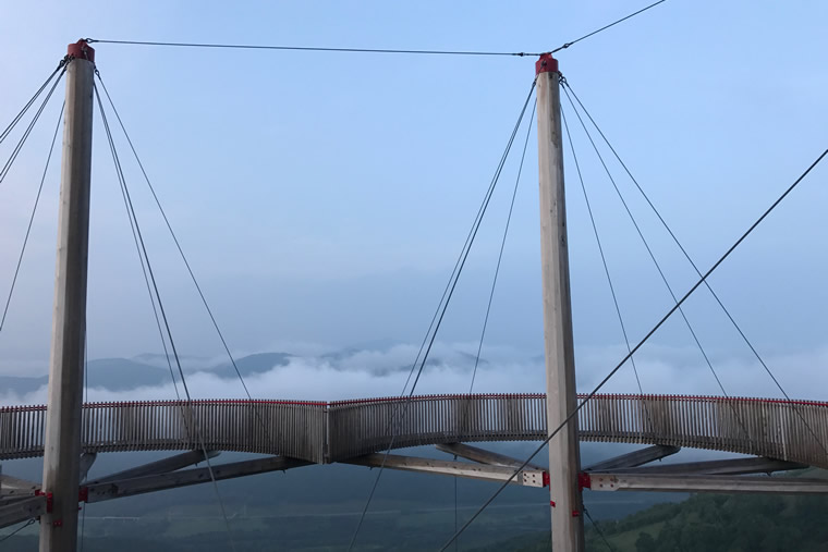 柴犬まるの北海道の旅