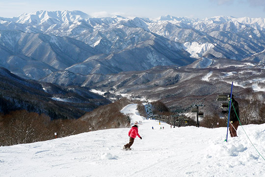 水上宝台樹スキー場（宝川温泉）