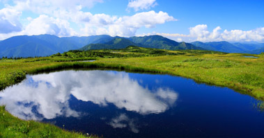 苗場山山頂湿原の池塘