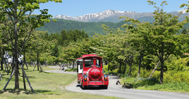 牧歌の里　ロードトレイン