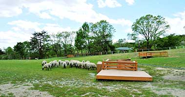 那須どうぶつ王国