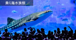 美ら海水族館