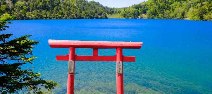 赤鳥居と大沼池