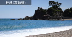 桂浜(高知県)