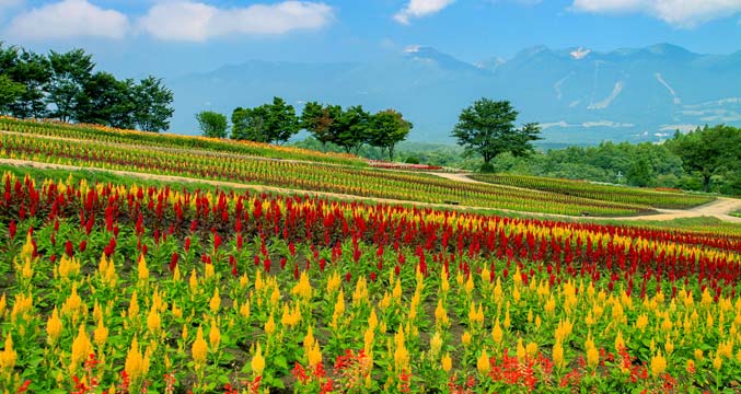 那須フラワーワールド