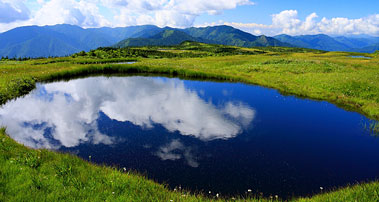 苗場山 山頂湿原